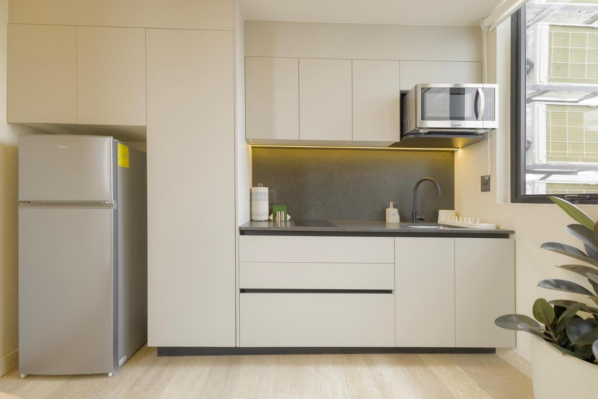 Apartment Capitalia Aristoteles Polanco